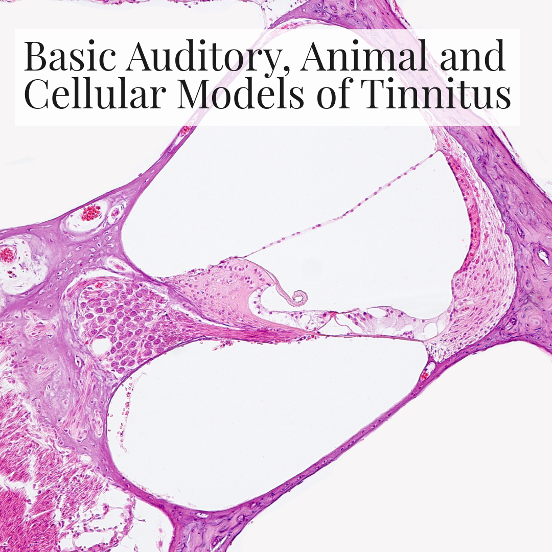 Basic Auditory, Animal and Cellular Models: Understanding Tinnitus at Its Biological Roots