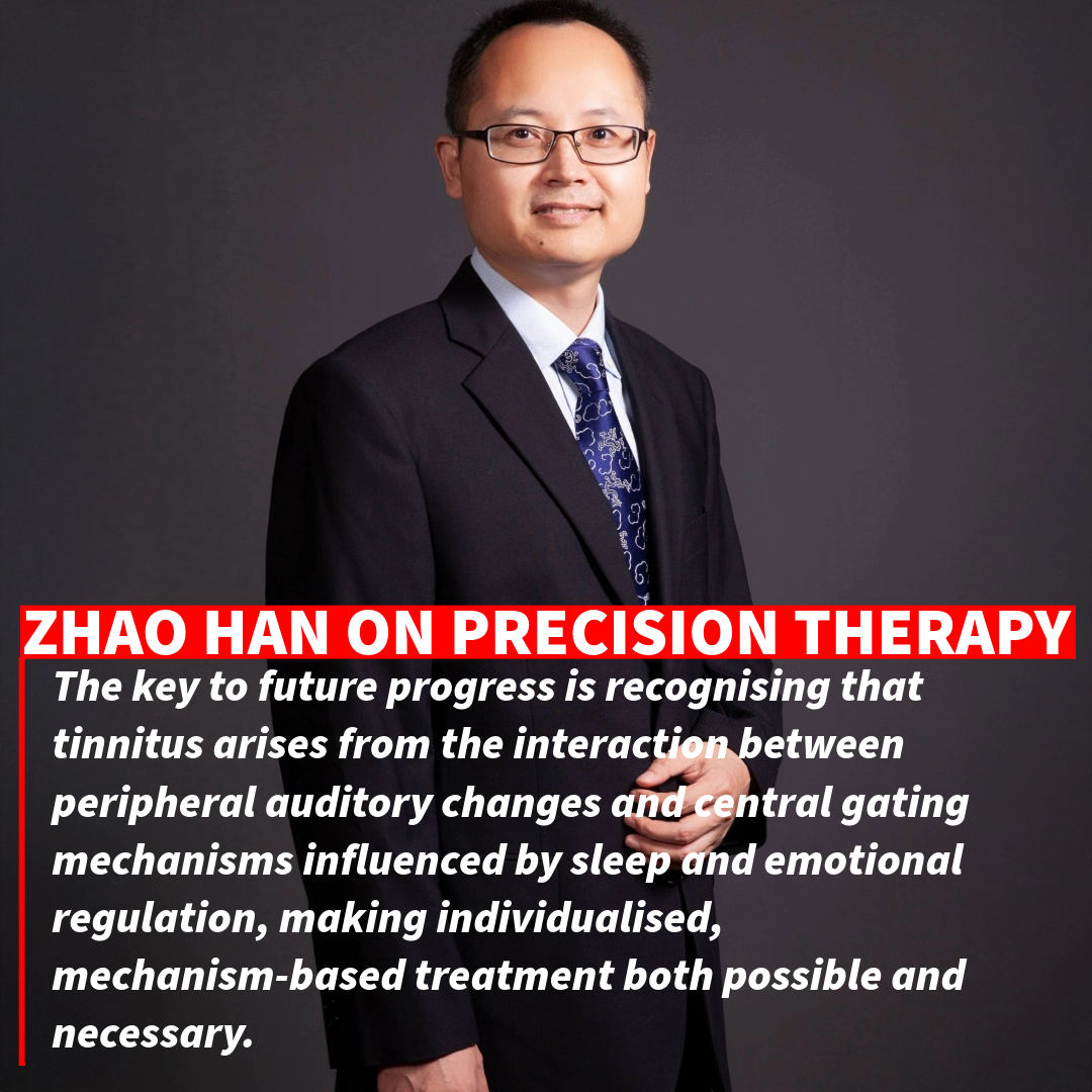 Precision Medicine for Tinnitus: Moving from Generalised Care to Targeted Treatment